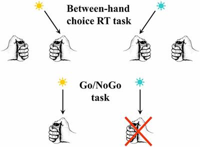 Errors and Action Monitoring: Errare Humanum Est Sed Corrigere Possibile